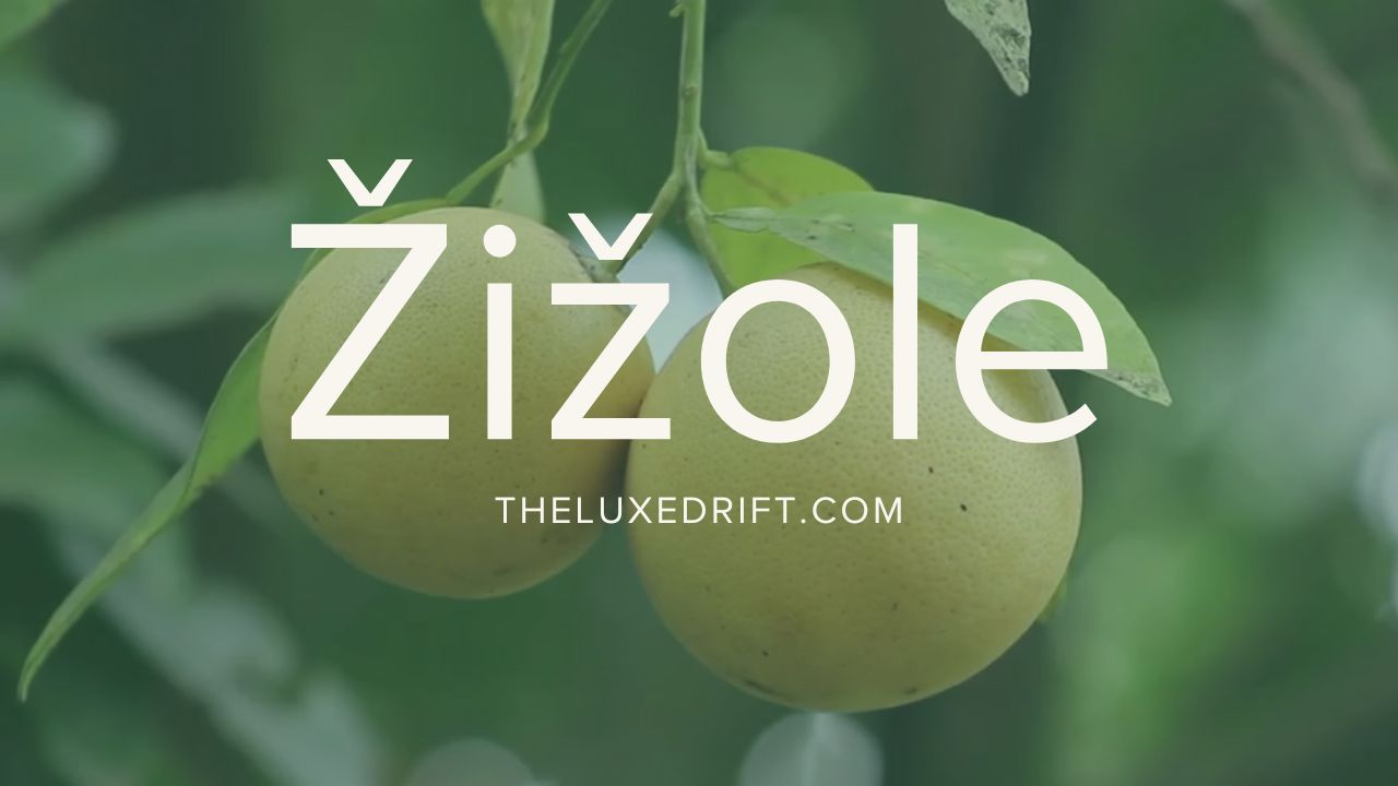 Žižole